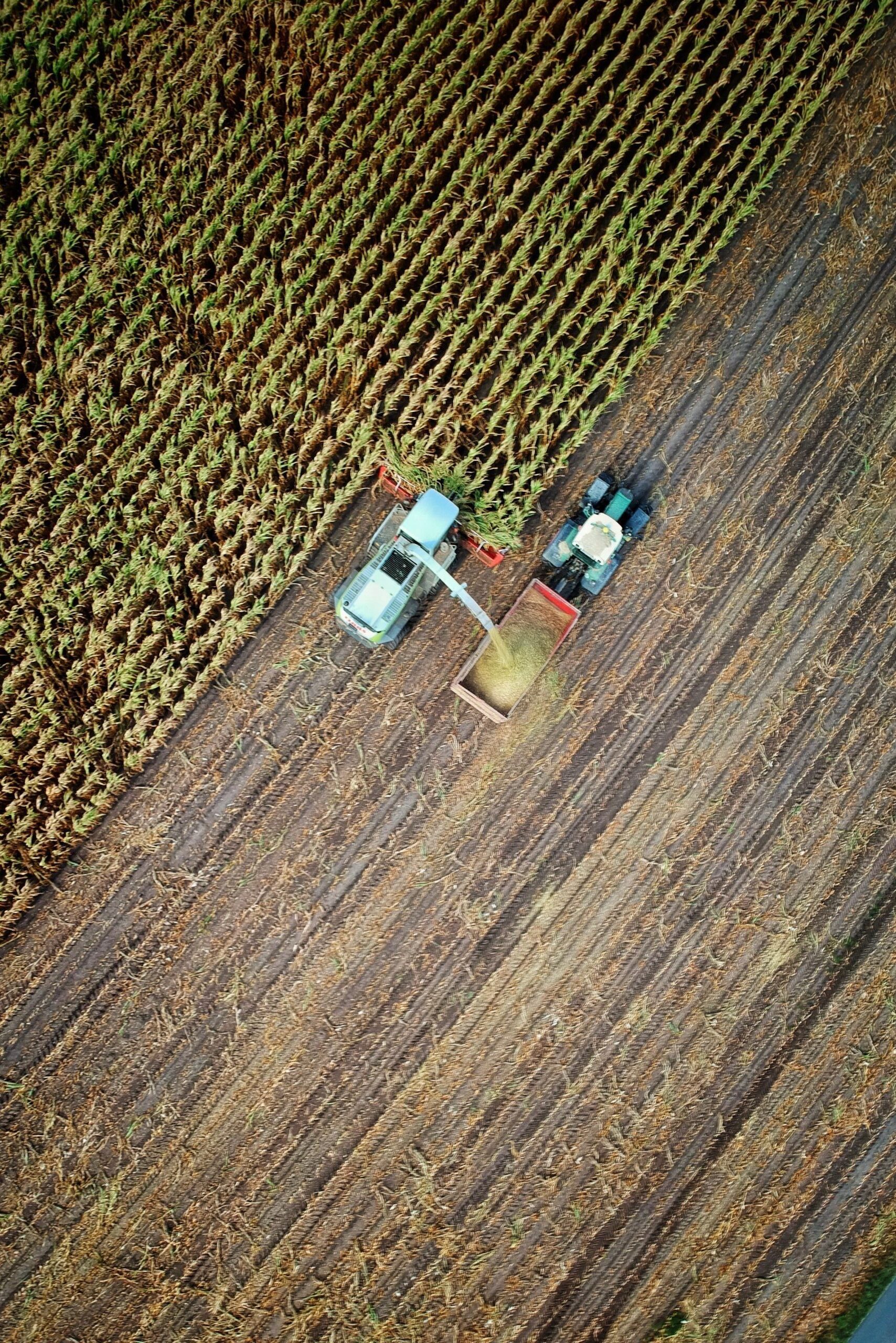 SB agricoltura e allevamento